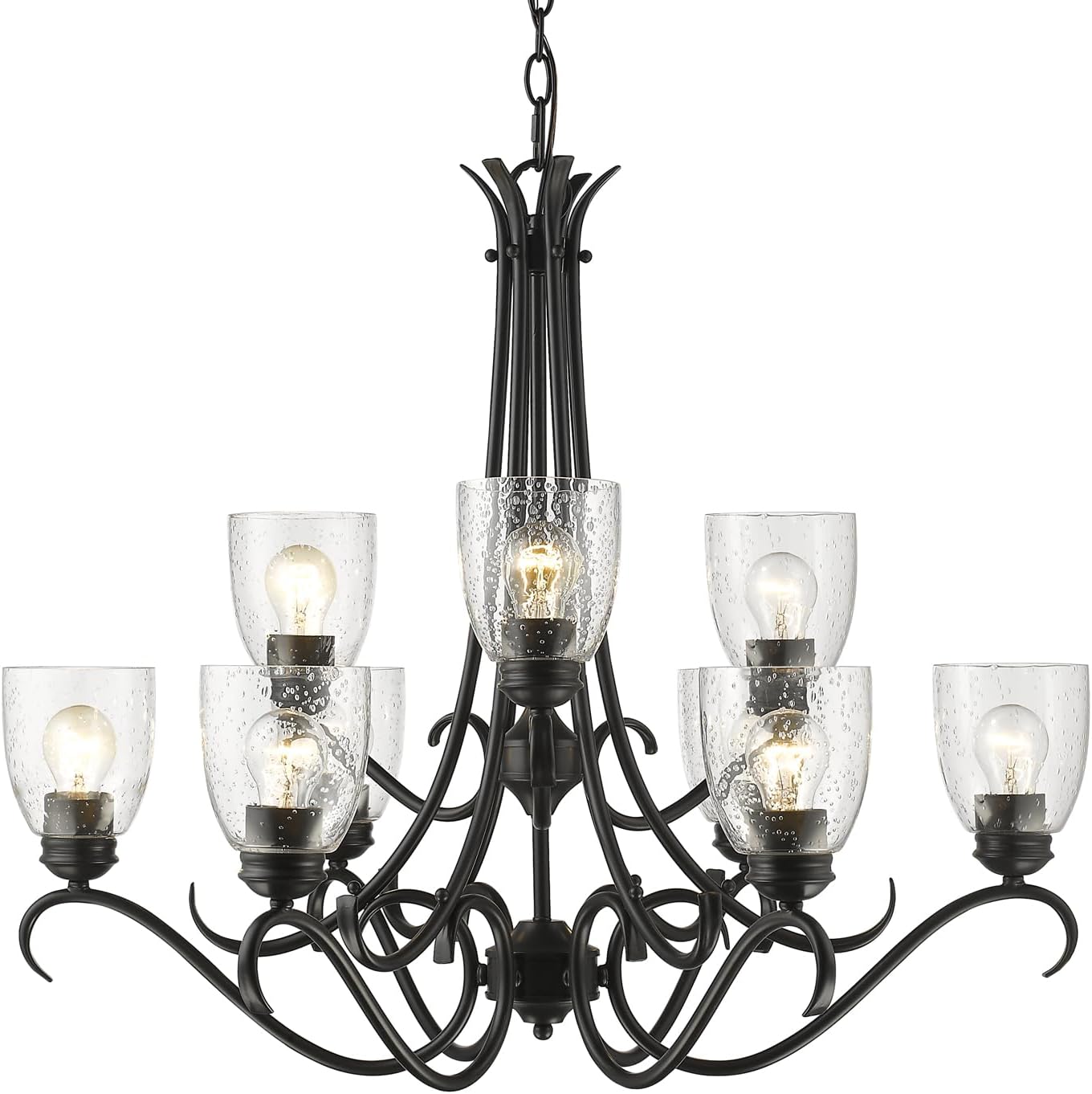 Golden Lighting Parrish 9-Light Chandelier in Matte Black