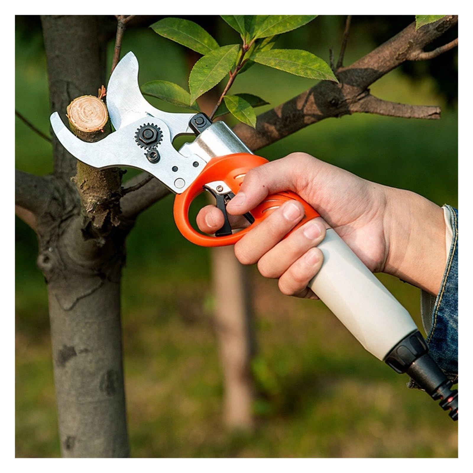 Cesoie a batteria per potatura, Cesoie elettriche da potatura da 4,5 cm 450W 4400mah Batteria al litio Forbici da frutteto Cesoie elettriche da potatura for alberi da frutto Attrezzi da giardino Per l