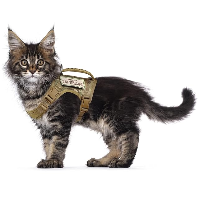 Arnés táctico para Gatos para Caminar a Prueba de Escapes