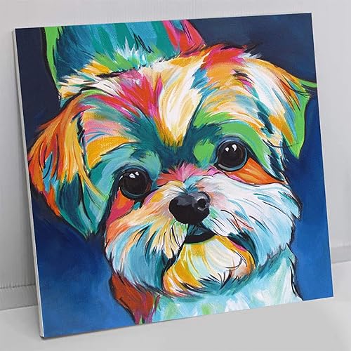 SYNHOK Pintura por números para adultos y niños principiantes, kit de pintura acrílica para decoración de habitación, regalo ideal de 16 x 20 disponible en Yaxa Guatemala