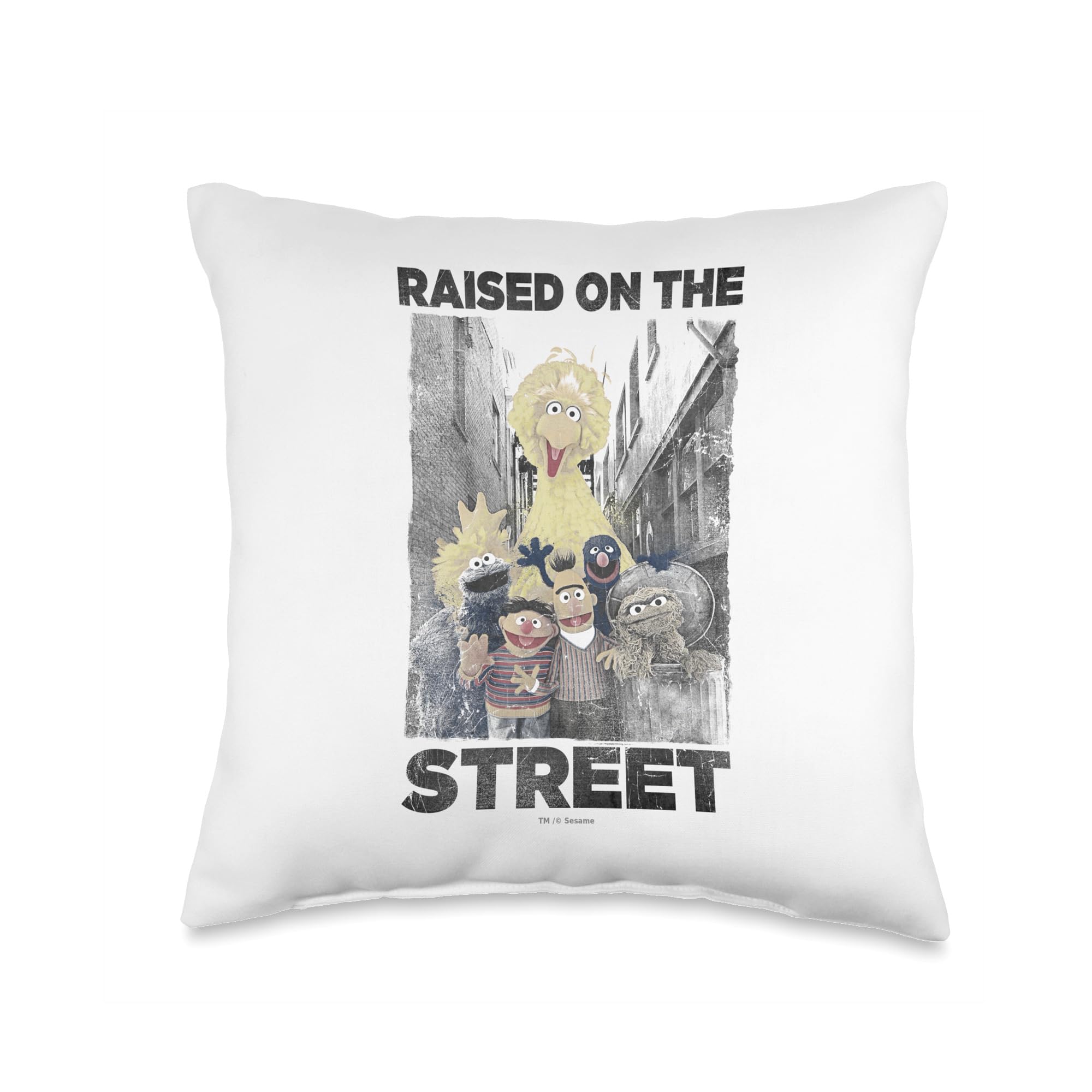 Coussin Sesame Street nostalgie pop culture multicolore pour petit et grand