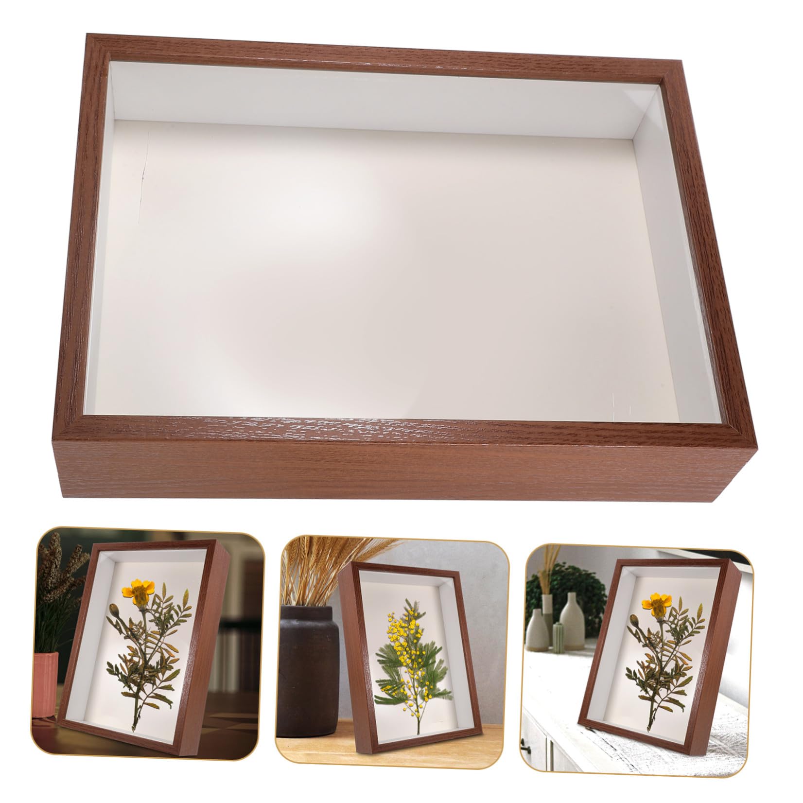 Ciieeo Cornice Galleggiante in Legno per Fiori Secchi A3 5 Cm Cornice Fai da Te per Esposizione di Piante Secche e Foto Decorativa per Soggiorno e Camera da Letto