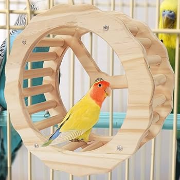 コロンとした木の玩具みたいなゾウムシ バードブリッジ | 天然木製の大型ジャンボサイズのおもちゃ