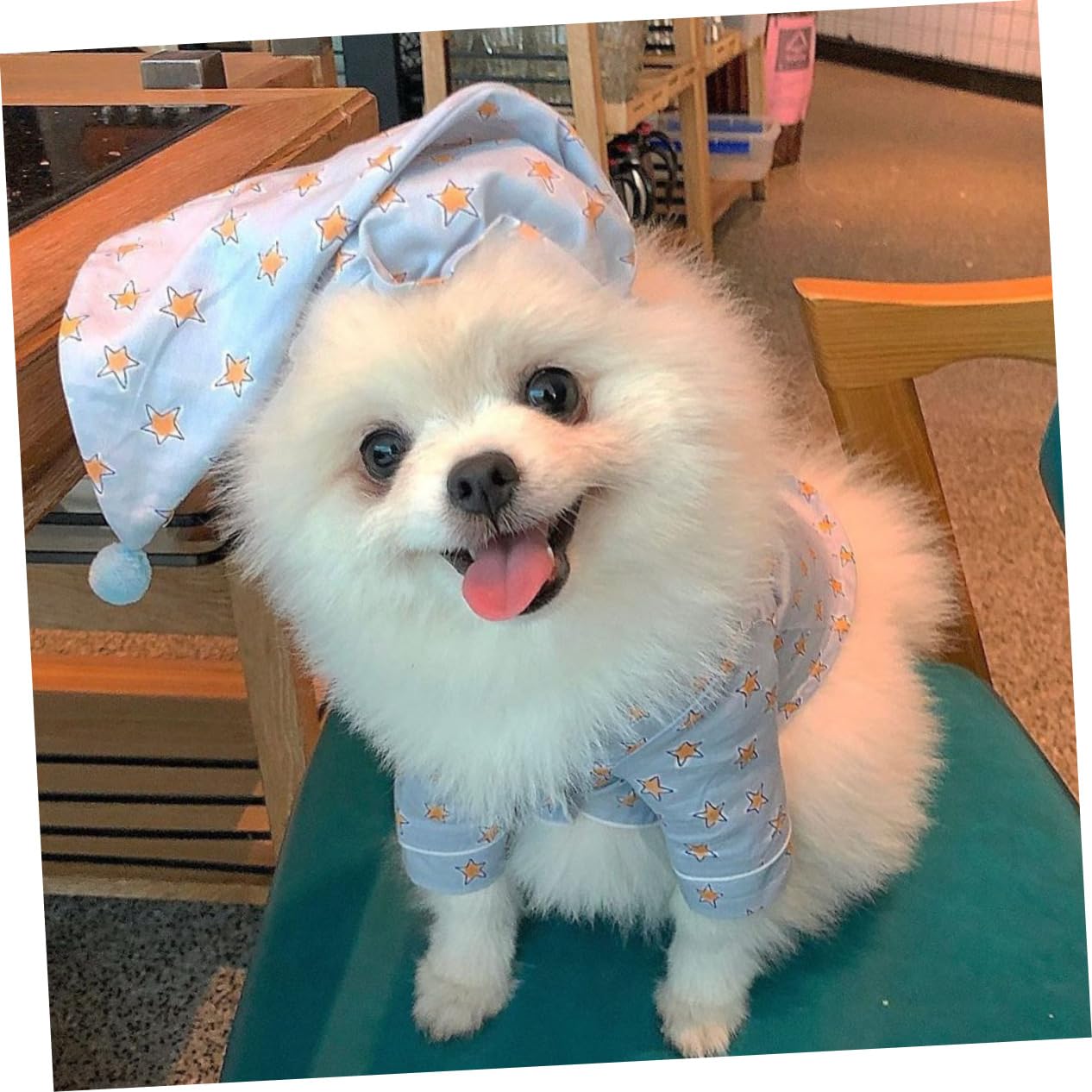 BESPORTBLE Pigiama Per Cane in Vestito Per Animale Domestico Cappello Costume Per Cane Per Casa Pigiama Per Animale Domestico