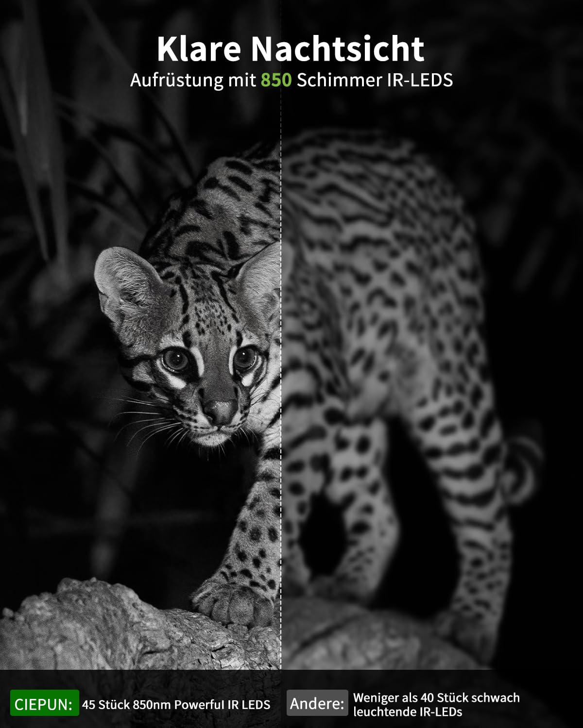KJK 4K 64MP Wildkamera mit 64GB Speicherkarte, Wildtierkamera mit Nachtsicht, 0.05s Auslöser Bewegungsaktiviert, IP67 Wasserdicht 130° Weitwinkel 45 Stücks Infrarot-LEDs Schimmer Wildkamera