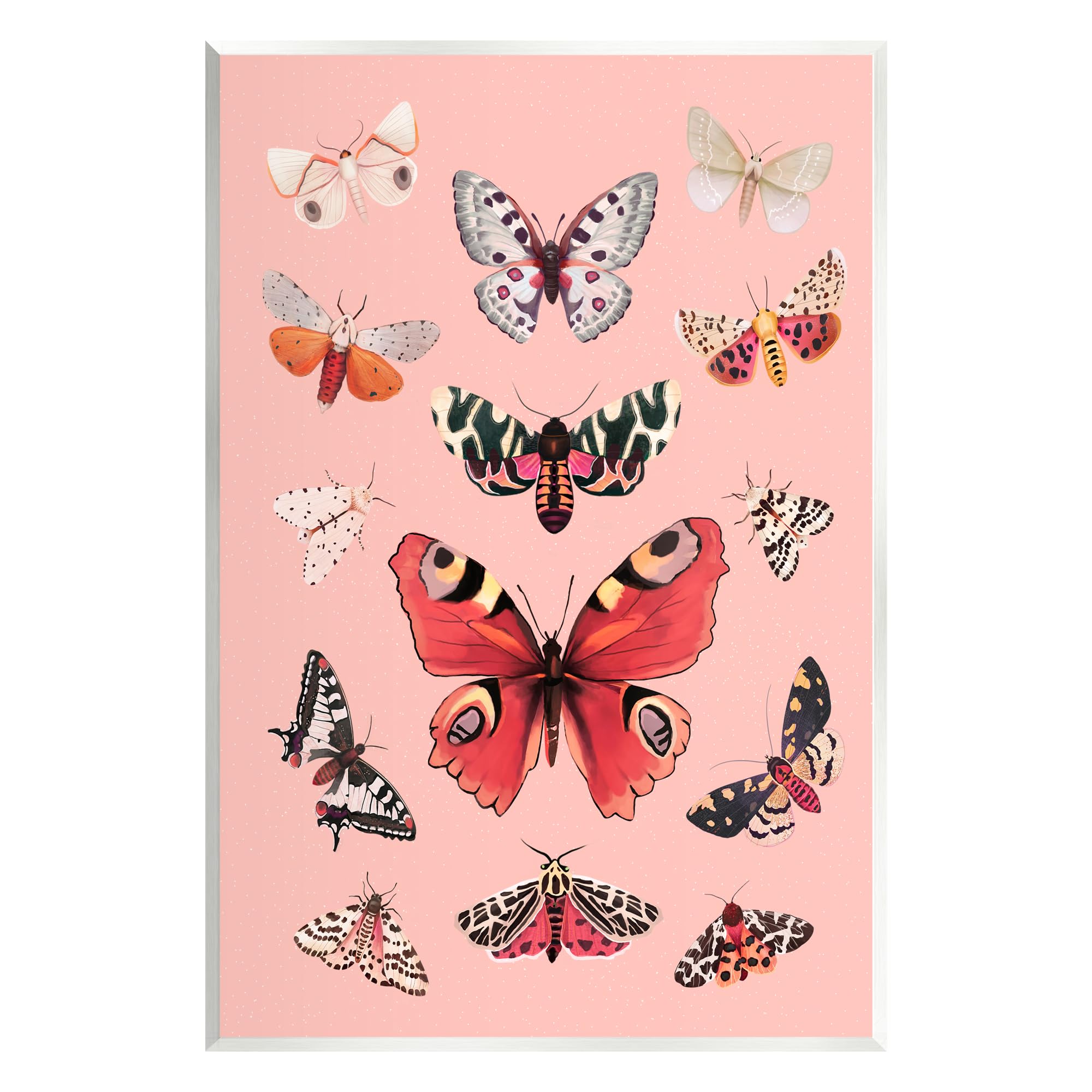 Stupell Industries Various Moths on Pink Wall Plaque Art by Diane Neukirch