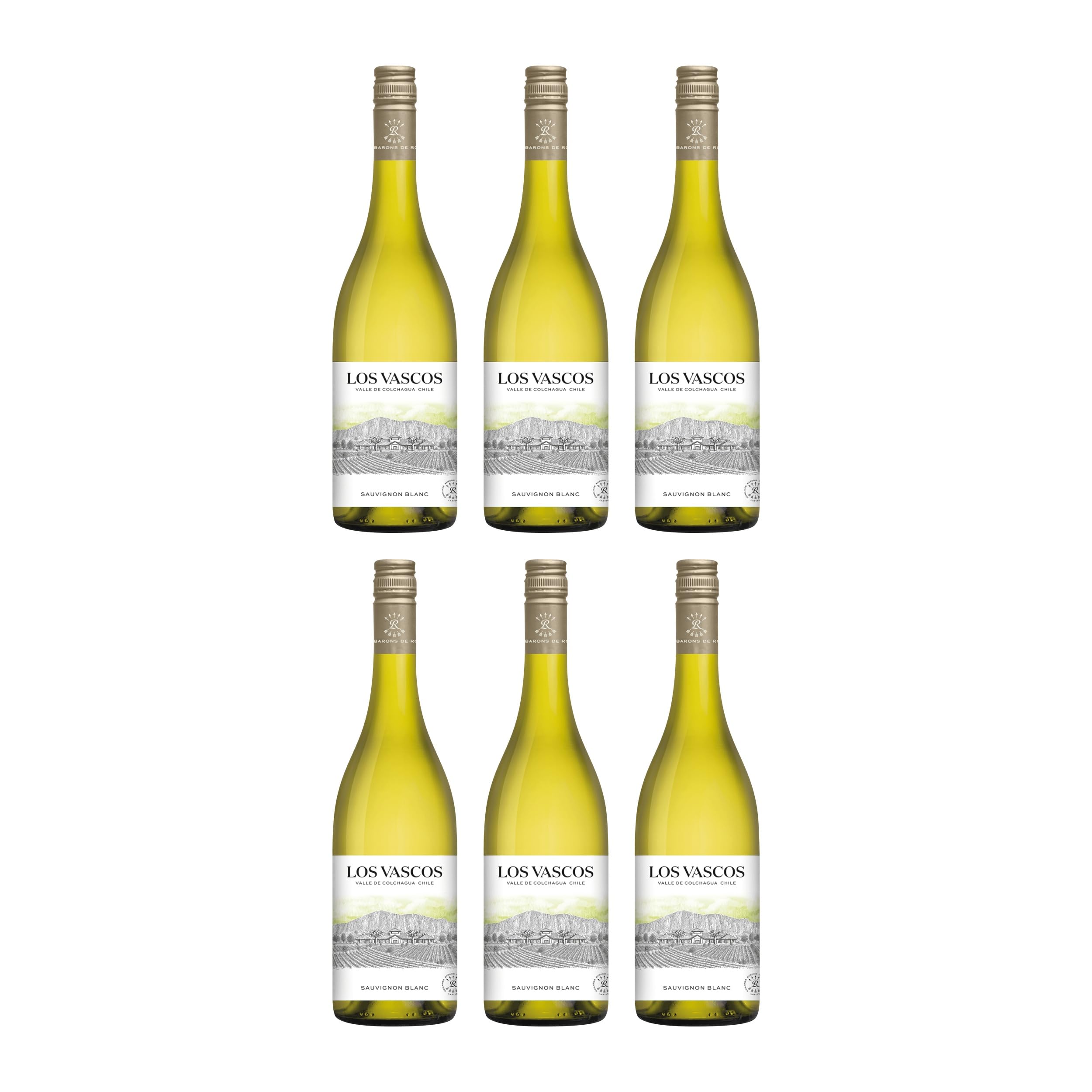 Los Vascos Sauvignon Blanc Weisswein Weiss trocken Chile inkl. FeinWert E-Book (6 x 0.75 l)