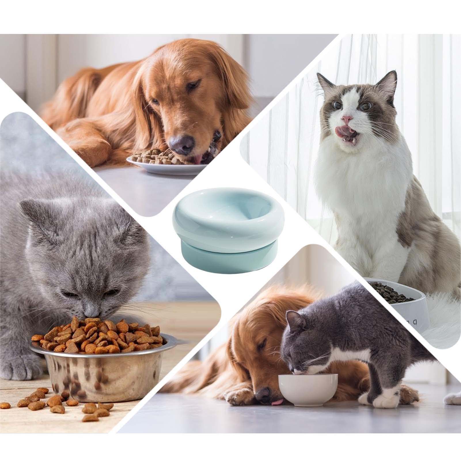 Support de nourriture pour chat | Double gamelle amovible - Gamelle amovible pour chat - Fournitures pour animaux domestiques - Double bol en céramique pour l'alimentation et l'arrosage des chats | Gamelle amovible pour chat - Fournitures pour animaux dom