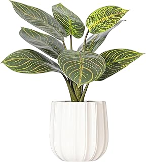 Vickerman 13" Philodendron Birkin in White Ceramic Pot.