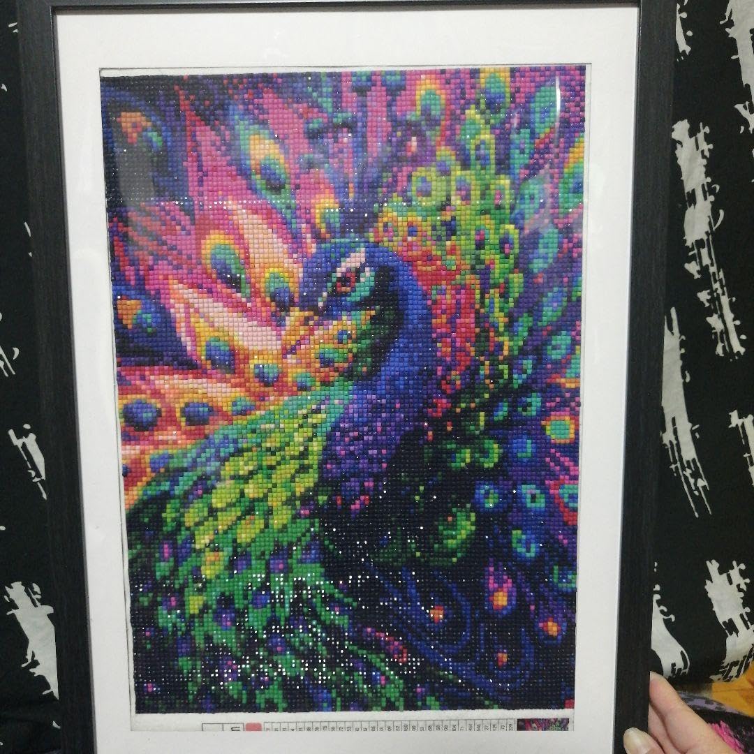 Amazon.co.jp: ダイヤモンドアート完成品 : おもちゃ