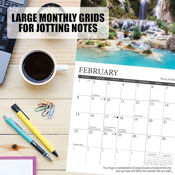 Willow Creek Press, Dachshund Rules 2026 Mini Wall Calendar