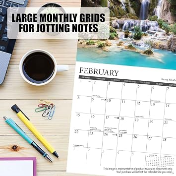 Willow Creek Press, Dachshund Rules 2026 Mini Wall Calendar