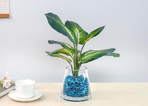 Miniatura 7 de CYS EXCEL Florero cilíndrico pequeño de cristal transparente de 5 pulgadas con apertura de 3.5 pulgadas, elegante centro de mesa para bodas, eventos