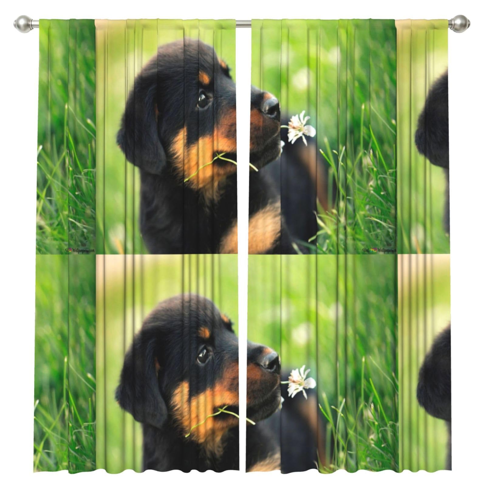 InOmak Animal Animal Cute Dog Puppy Rottweiler, 2 Panels Window Curtains 52 x 84 Inch Blackout Curtains for Living Room Bedroom