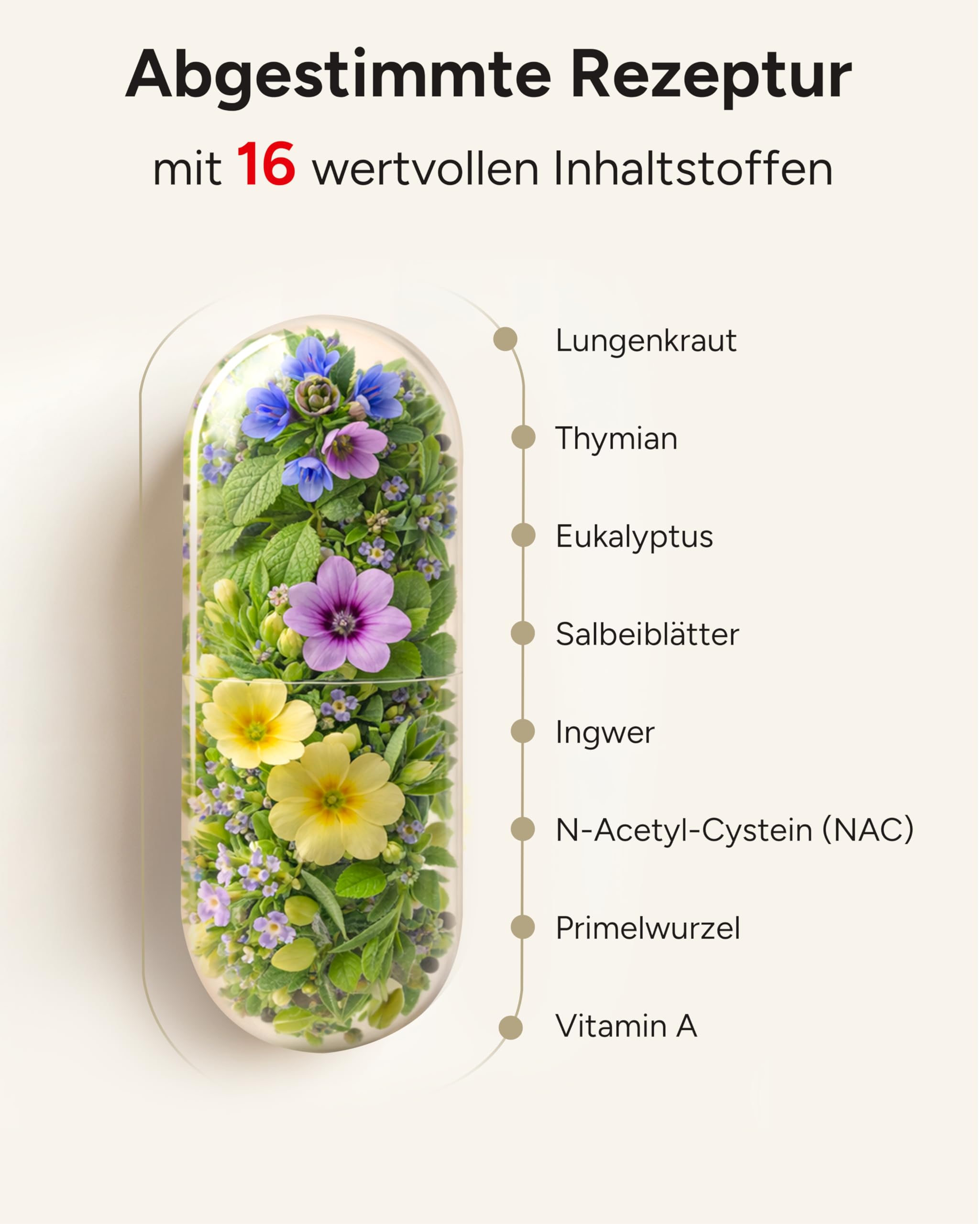16-fach Komplex! 180 Lungenkraut Kapseln hochdosiert mit Lungwort Malvenblättern Thymian Primelwurzel Eukalyptus & Salbeiblättern