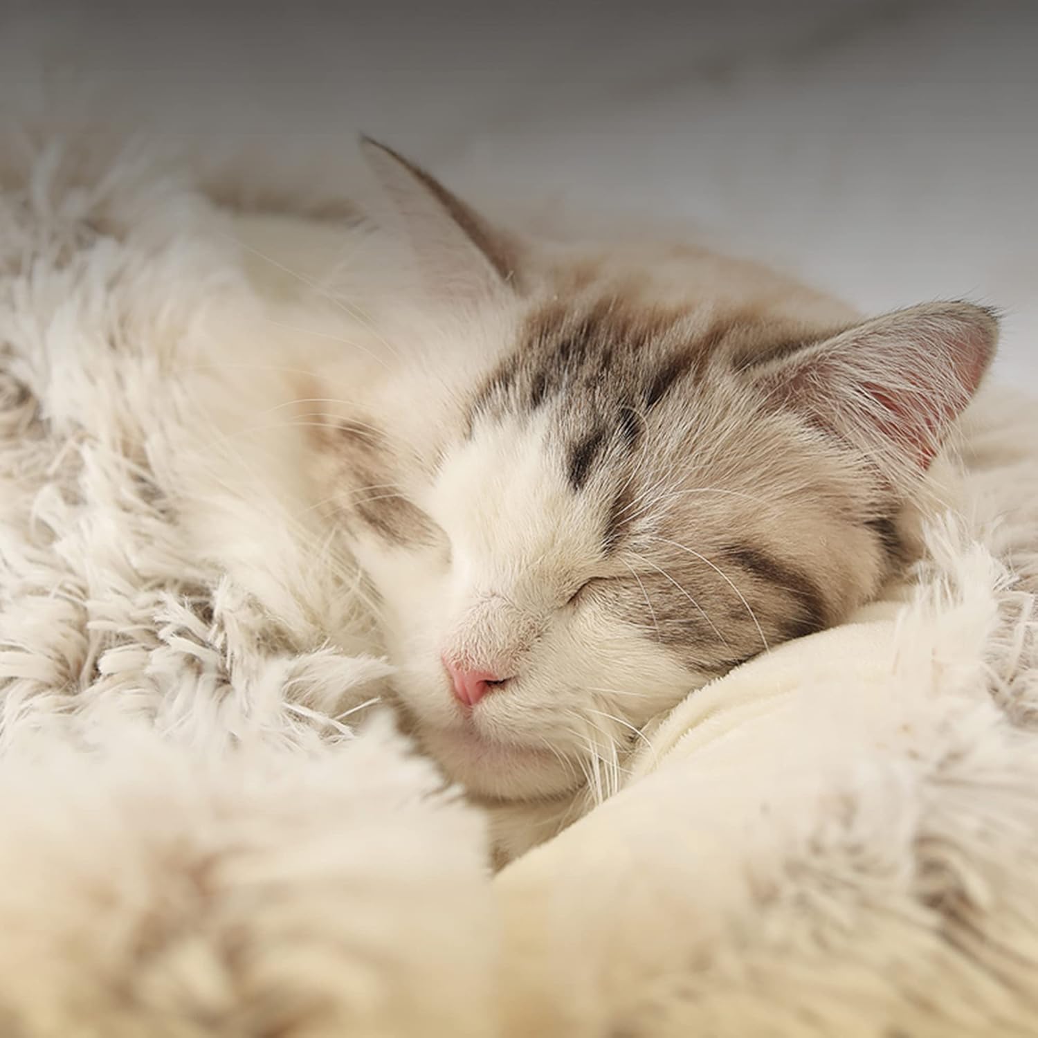 Calming Cat Bed 2 in 1 Soft Pet Cosy Bed for Indoor Cats or Small Dogs Sleeping Cushion Bed Puppy Kitten Plush Pet Beds Anxiety Relief Fluffy Dog Bed,50cm,Pink