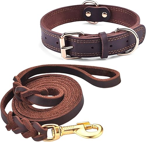 Collar de perro de cuero para perros medianos con correa de perro de cuero trenzado de 6 pies x 1/2 pulgadas