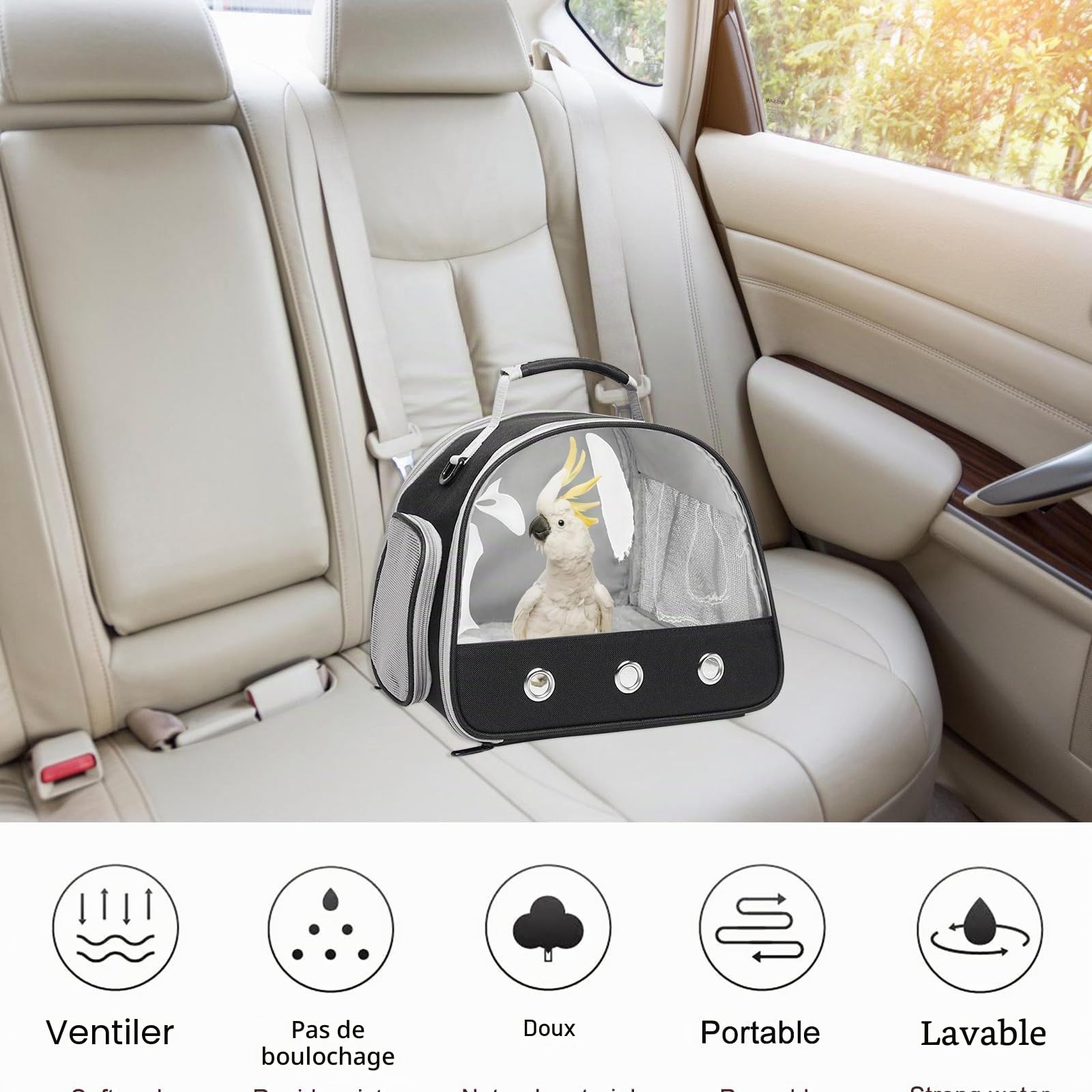 Petit Sac de Transport pour Animaux de Compagnie avec Ouverture Latérale - Boîte Pliable pour Chats, Oiseaux, Chatons et Chiots