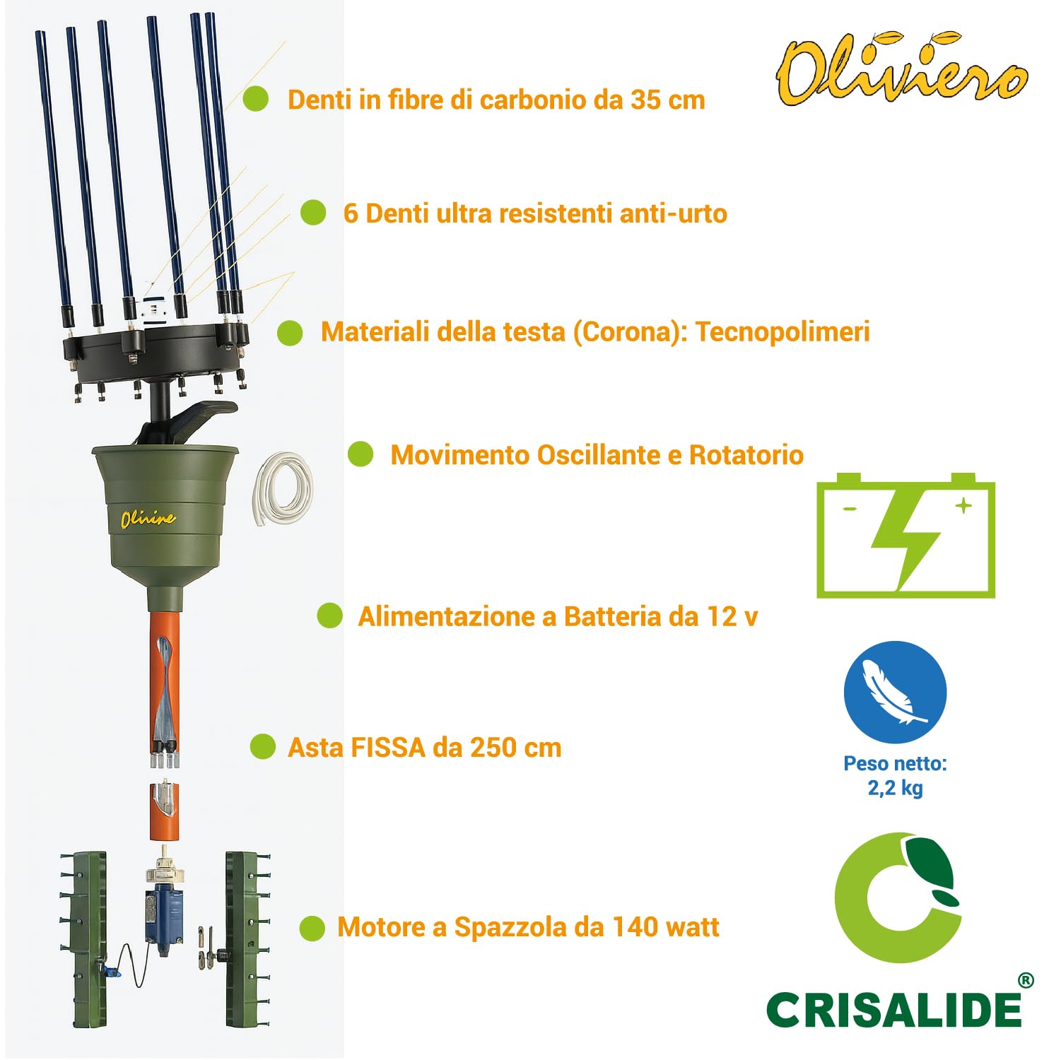 Crisalide® - Oliviero Synthesis - Vareador recogedor de aceitunas a batería de 12 V, barra fija de 2,5 m