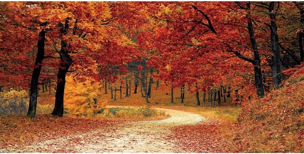 Leyiyi 20x10ft Autumn Forest Backdrop Red Maple Trees Mountain Road Deciduous Landscape Thanksgiving Photography Background Fall Natural Scenery Wedding Children Adult Portraits Photo Studio Prop