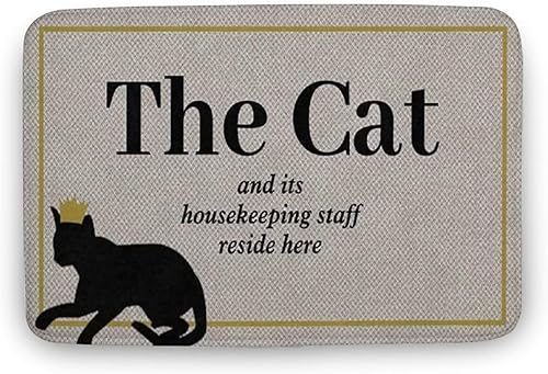 Tapete divertido para gatos, tapete de bienvenida, tapete para mascotas, tapete para exteriores, tapete para puerta delantera, decoración para