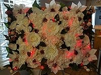 Review Image by Asim Asim