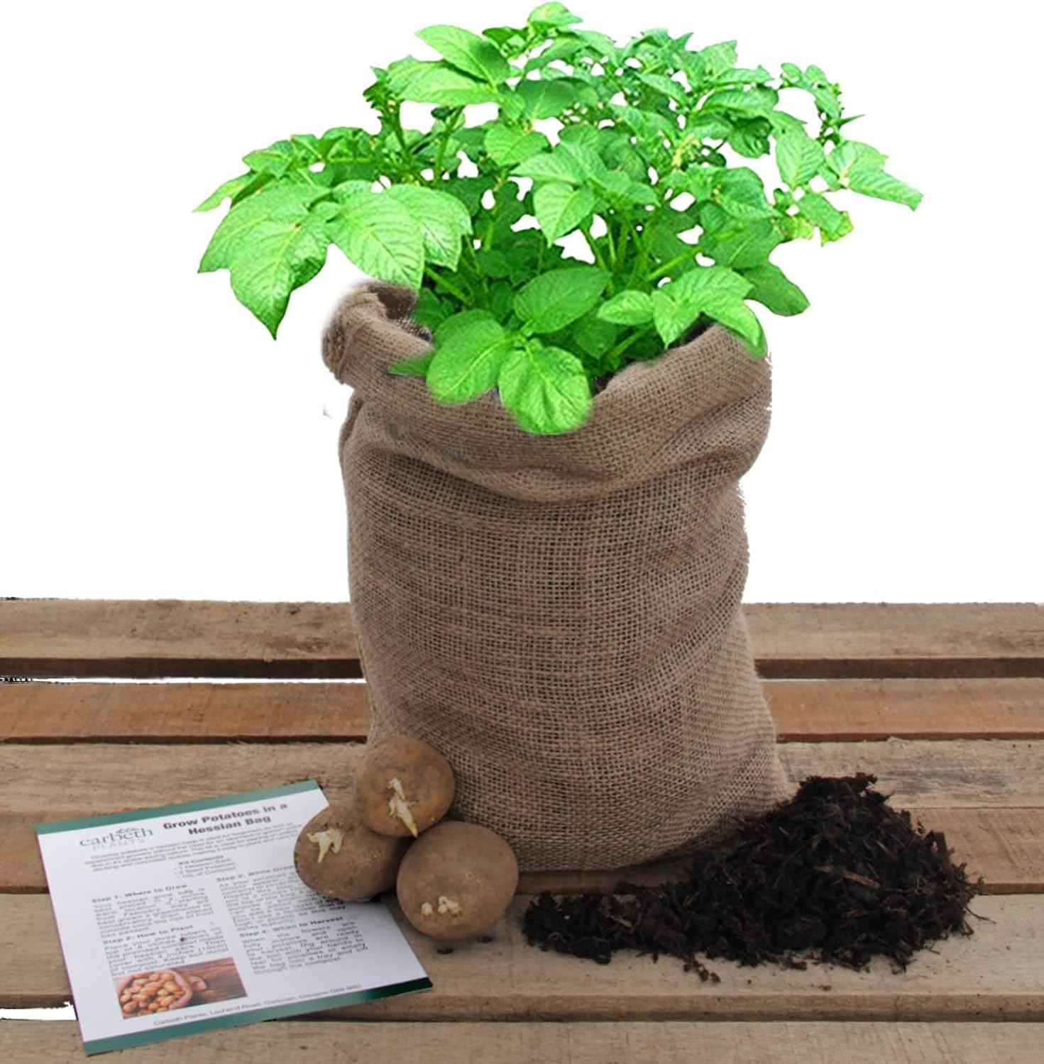 Potato Growing Kit Ideal for Beginners Complete Kit with Soil, Seed