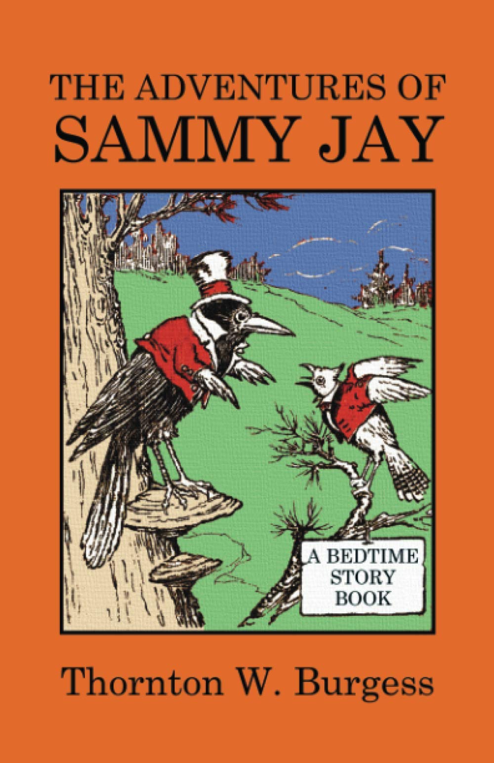 The Adventures of Sammy Jay