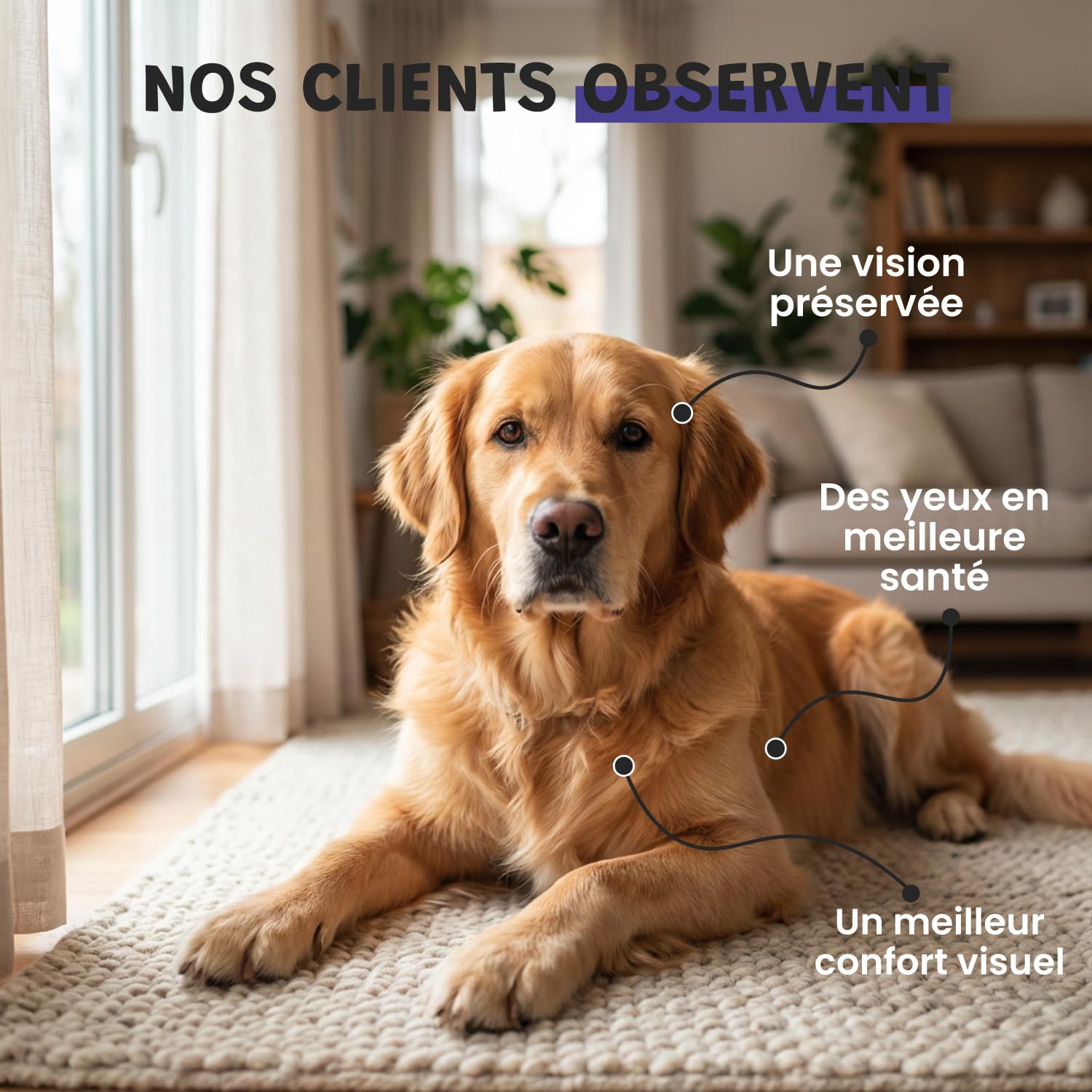 Vision 100g – Complément oculaire Naturel pour Chien et Chat | Myrtille, Ginkgo, Souci | Antioxydants & Microcirculation | Soutien du Confort visuel | Appétent au Foie de Poulet