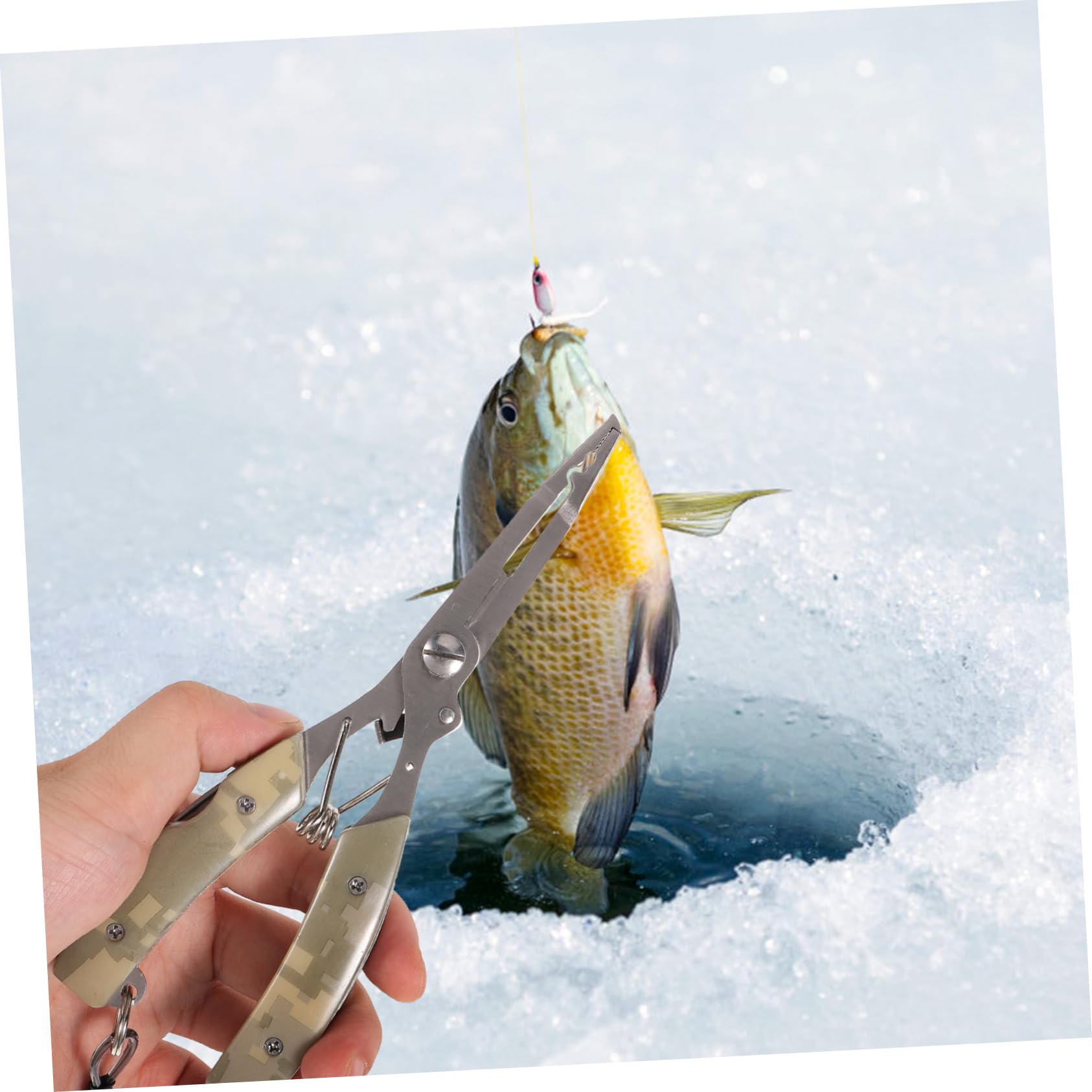 Toyvian 4 Pezzi Di Pinze Da Pesca Forbici Per Legare Il Filo Da Pesca Accessori Per Pinze Da Pesca Tronchesi Manuali Utensili Professionali Pinze Da Pesca Portatili Attrezzatura Da