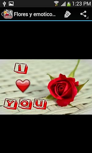 Flores para todos