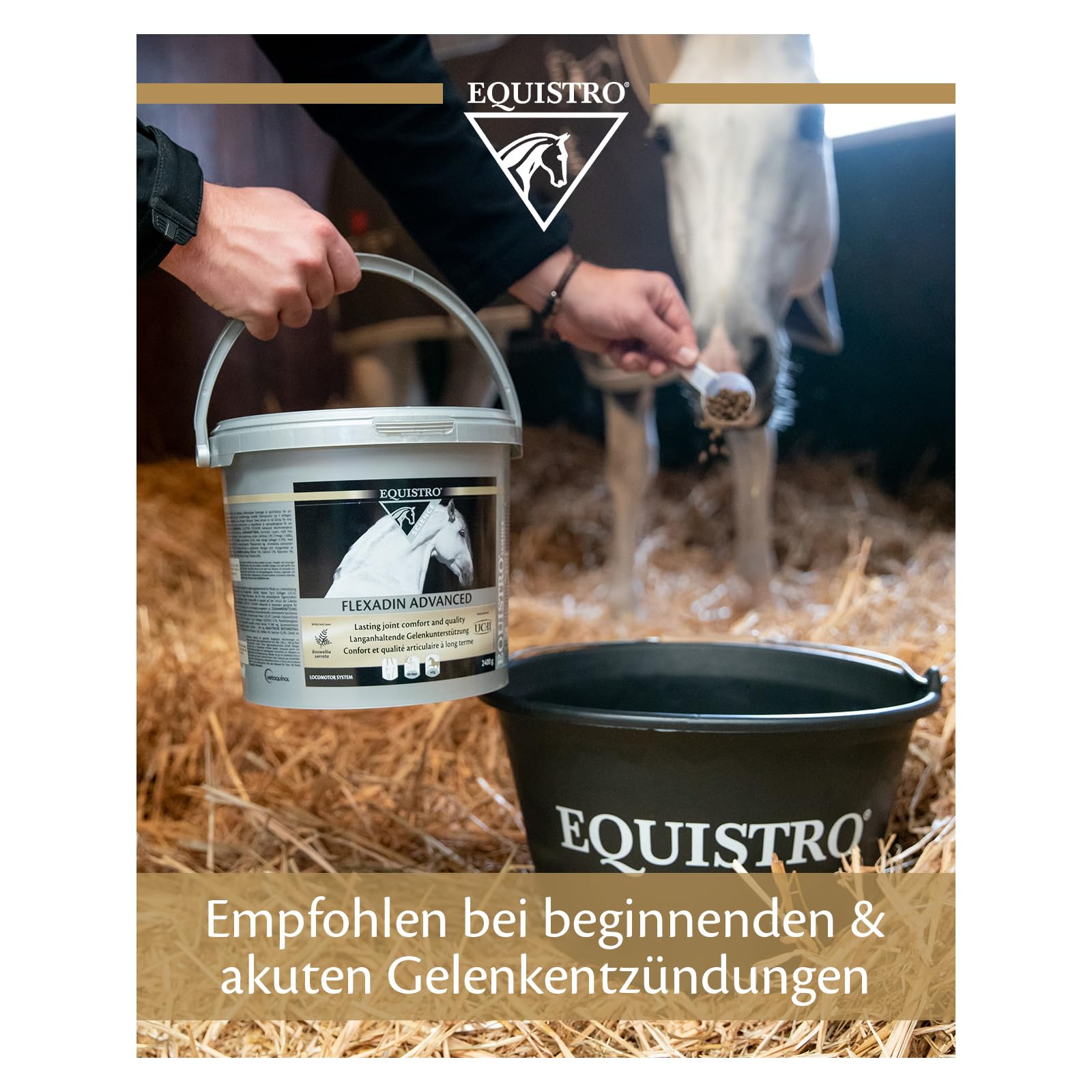 EQUISTRO® Flexadina Advanced | Complemento alimenticio para Caballos | Apoyo al metabolismo Articular | con ingrediente de colágeno Tipo II no desnaturalizado (UC-II®) e Incienso Indio | 2,4 kg