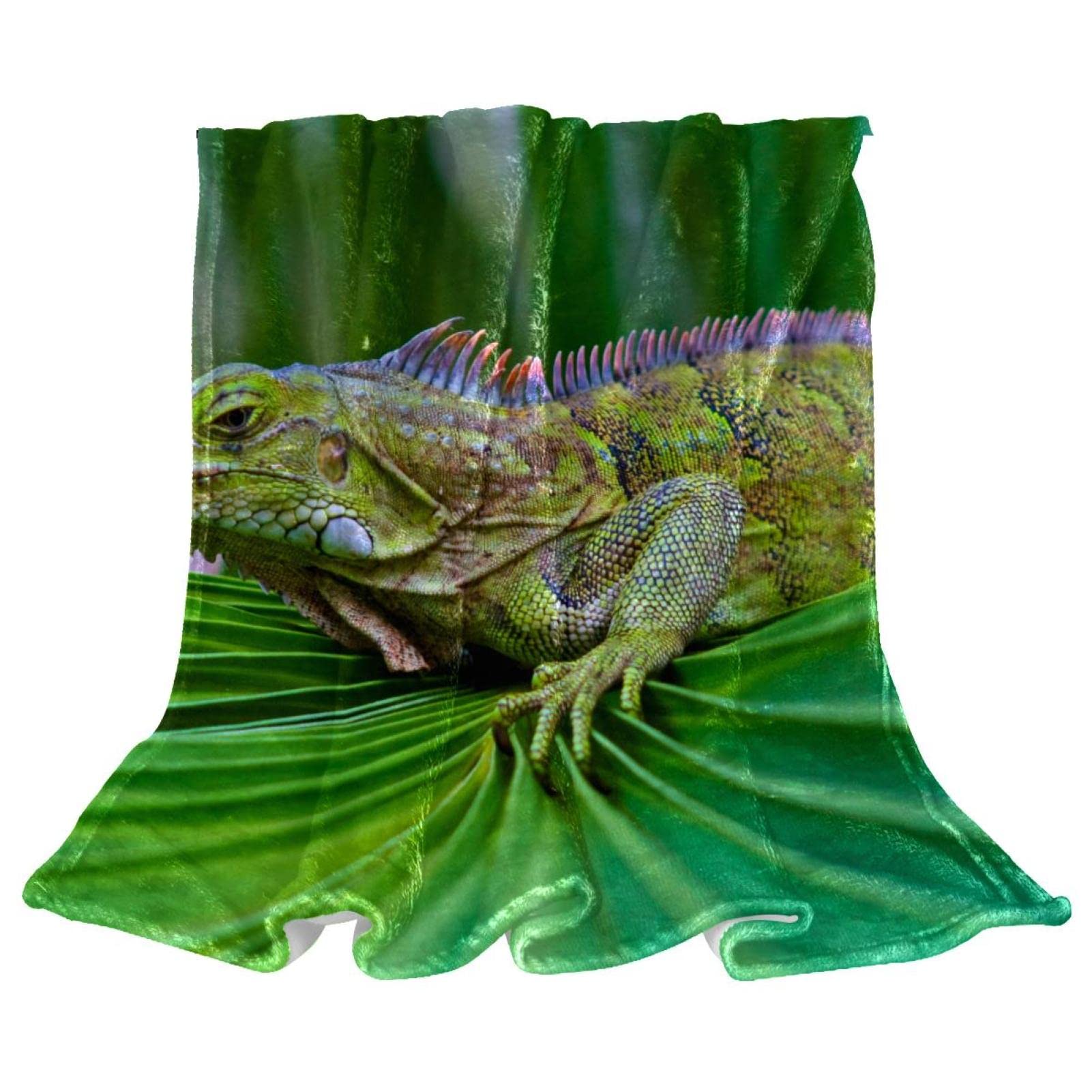 Couvre-lit enfant doux et couverture de lit dragon vert lit garçon fille