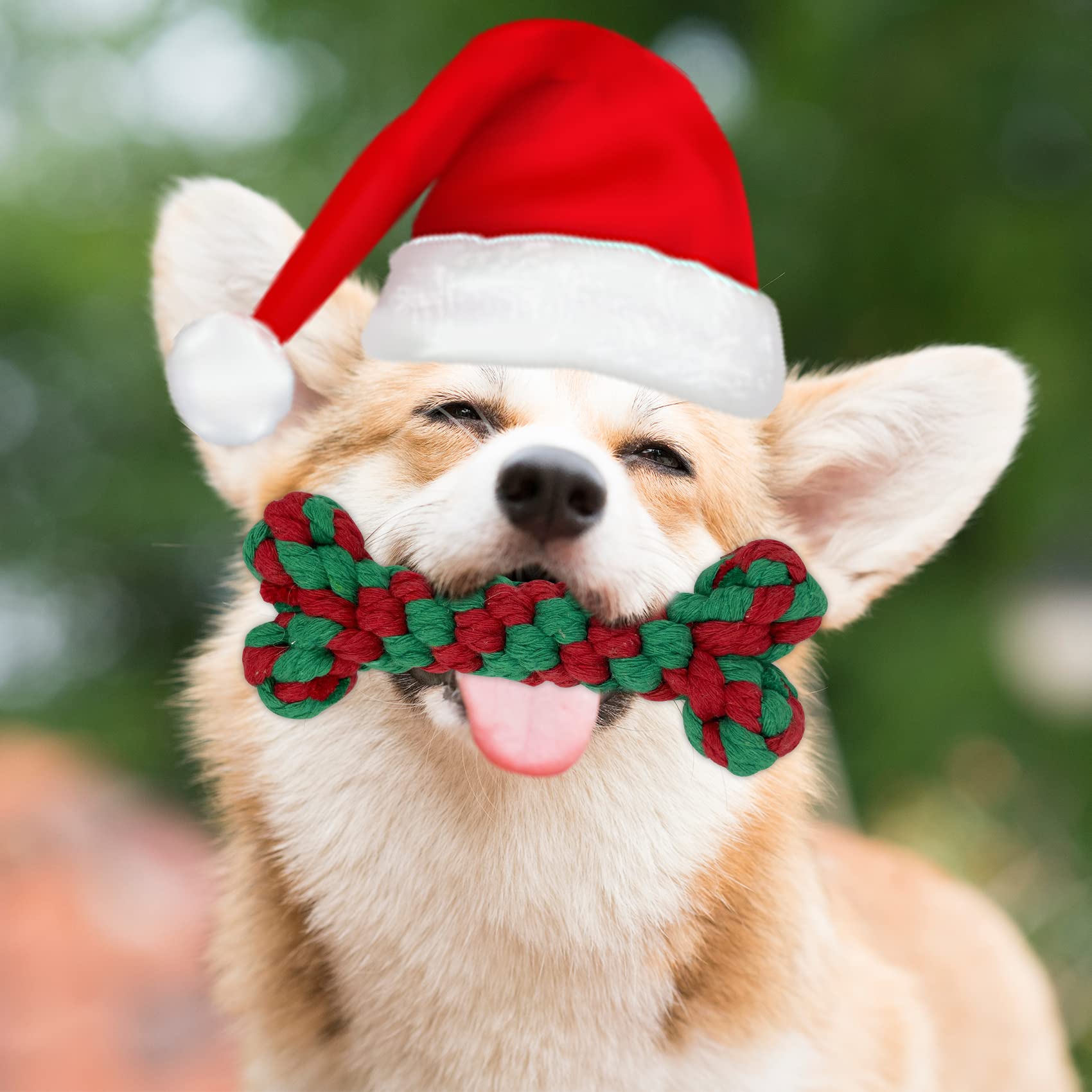 Lot De 4 Jouets à Mâcher En Corde De Noël Pour Chien (Arbre, Flocon, Bonhomme De Neige, Couronne) - Avec Couinement - 10
