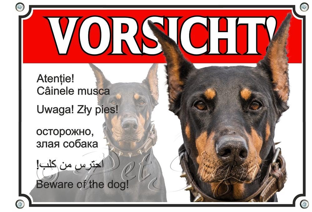 Hundeschild - Dobermann - Vorsicht - Warnung in sechs Sprachen - Metallschild - TOP TIPP, DIN A4