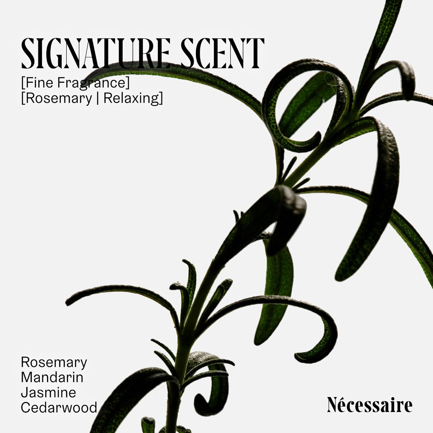 Nécessaire Rosemary Conditioner – Multi-Protein Strengthening with Rosemary Oil, Ceramides + Proteins – Lightweight Detangling Conditioner for Thinning Hair, Breakage – Sulfate-Free, Color-Safe. 3.4 - Image 5