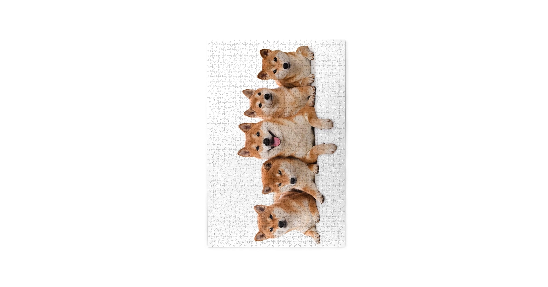 Amazon.co.jp: 柴犬 いぬ 犬柄 1000ピース ジグソーパズル 大人