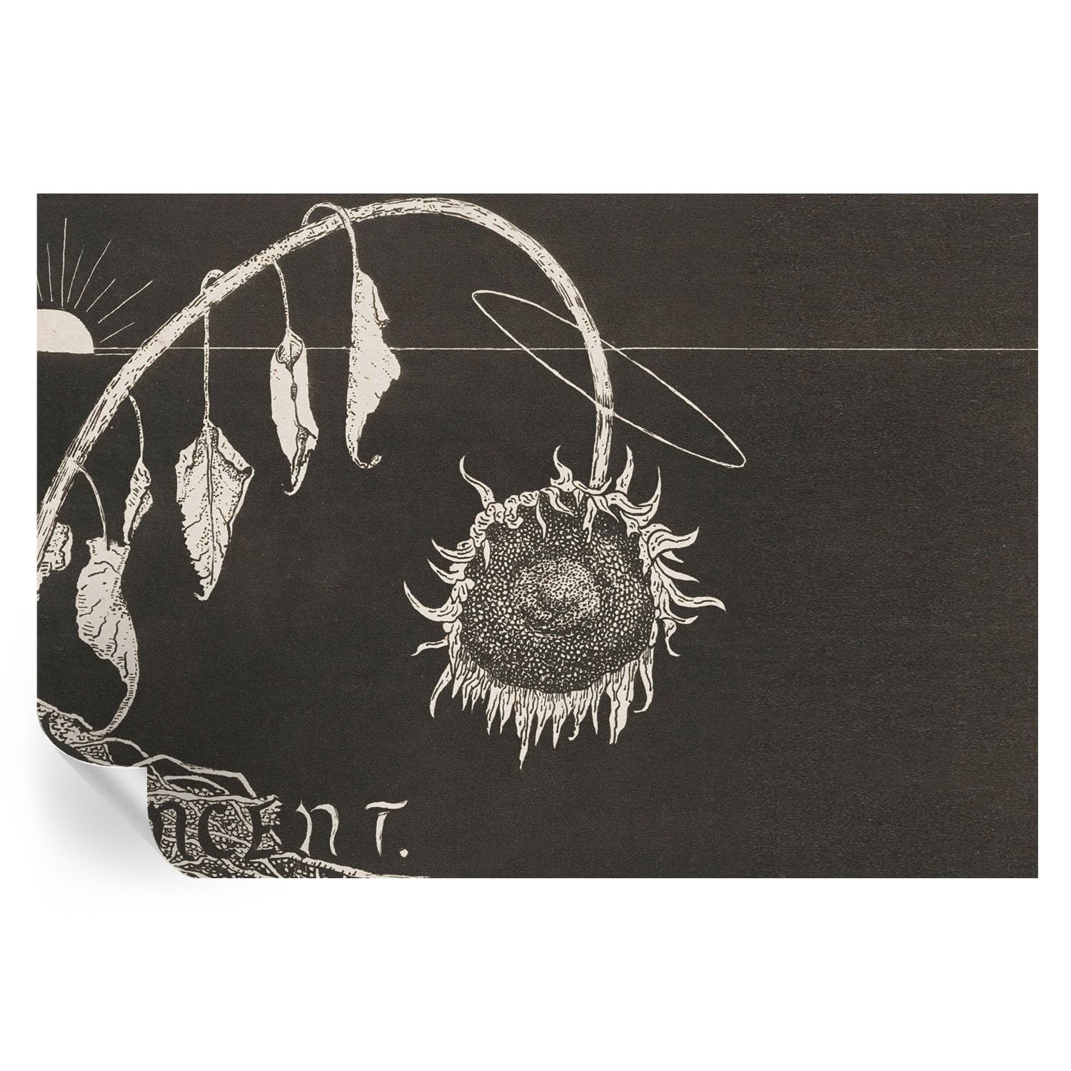 Vinilos decorativos de girasol para renovar las paredes de tu oficina