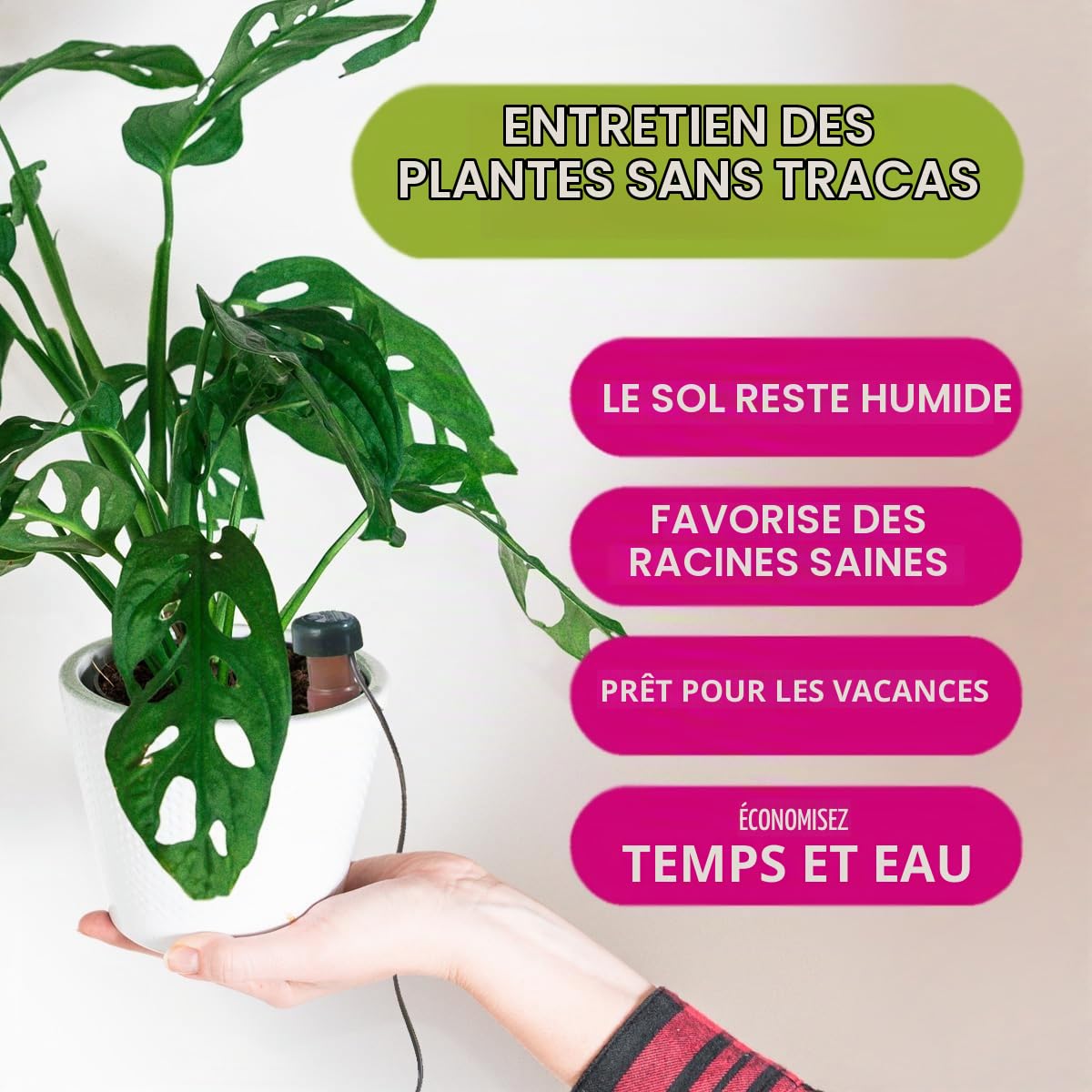 Blumat Classic Piques d'arrosage - Système d'arrosage automatique pour pots - Accessoire pour plantes et arroseur automatique (Lot de 25)