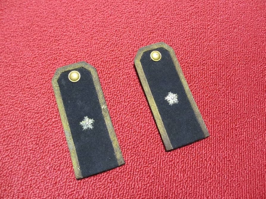 戦前警察・昭和十年制警部用正肩章（箱付き） 戦前警察官の昭和十年制巡査肩章 | Chicago Blog