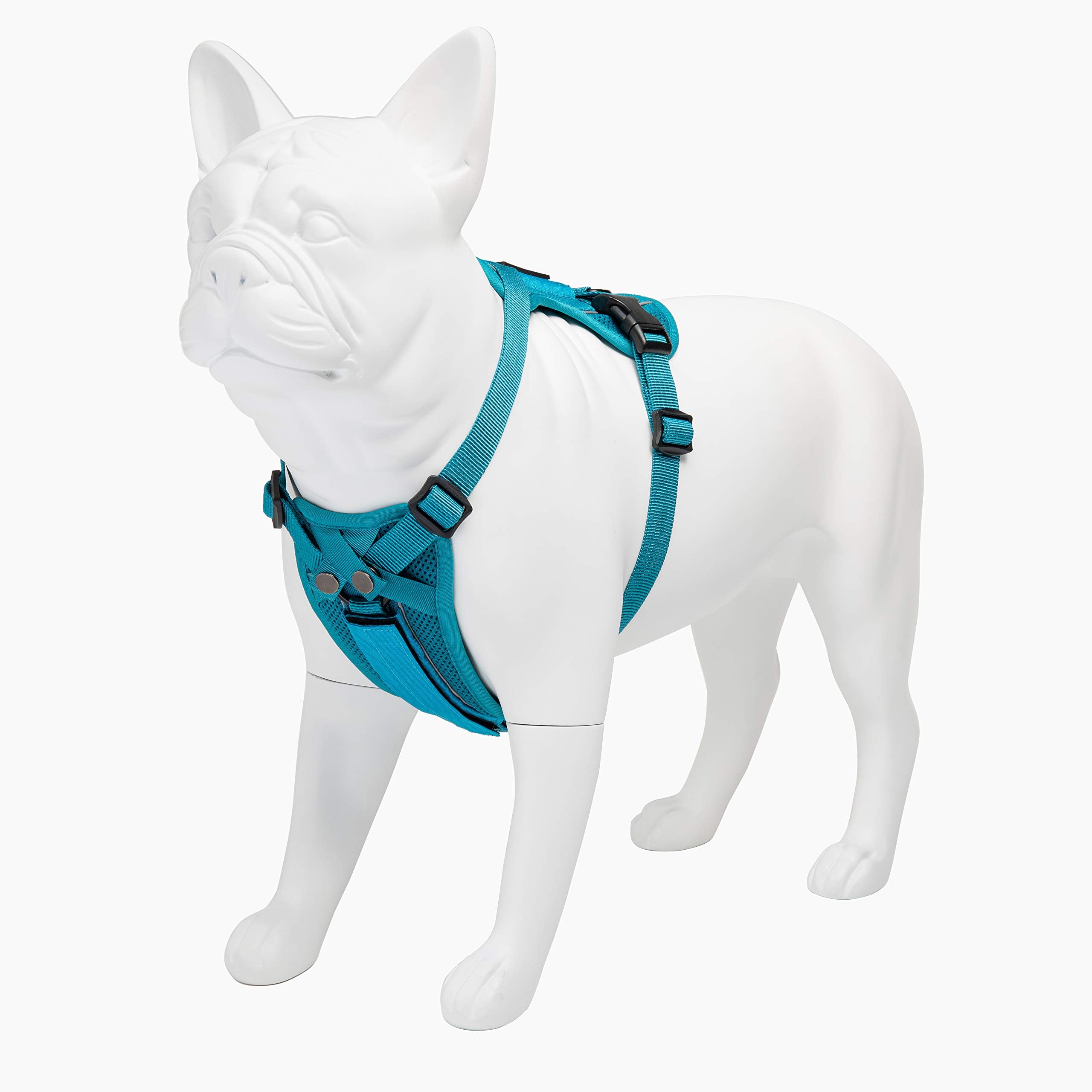 Best Pet Supplies, Inc. 216-TQ-XS Voyager Freestyle 4-in-1 Dog Harness - Patent Pending Adjustable Webbing Harness with Removable Padding for Small to Large Dogs (Turquoise, X-Small)