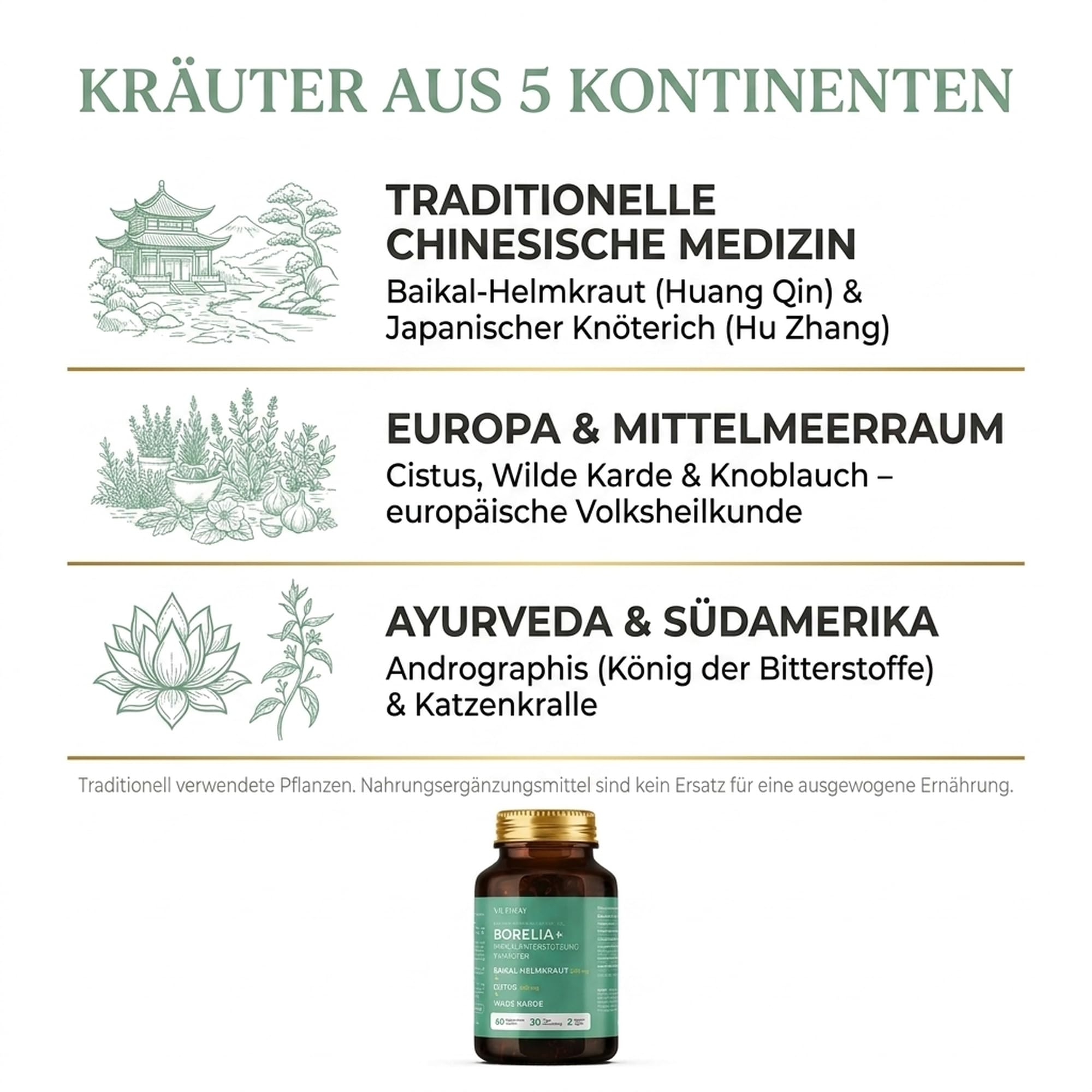 Borelia+ 7-Kräuter Komplex hochdosiert - Zistrose, Baikal-Helmkraut, Andrographis, Katzenkralle, Wilde Karde & Polygonum - DER 10:1 Extrakte mit Baicalin - 60 vegane Kapseln