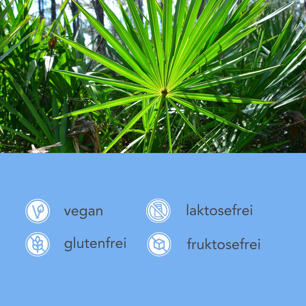 Resveratrol+ | mit Sägepalme und Kürbiskernextrakt | 30 Tage | vegan & made in Germany