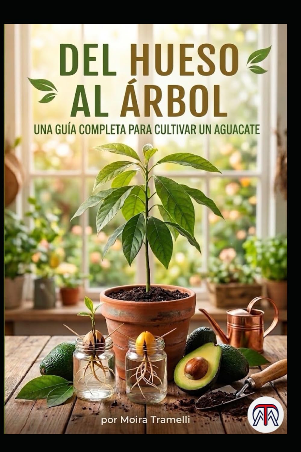 Del hueso al árbol una guía completa para cultivar un aguacate