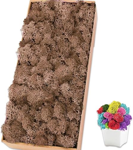 Miniatura 25 de Musgo de reno azul preservado de 7 onzas para plantas en maceta, decoración artesanal para arte de pared, musgo falso para decoración de bricolaje