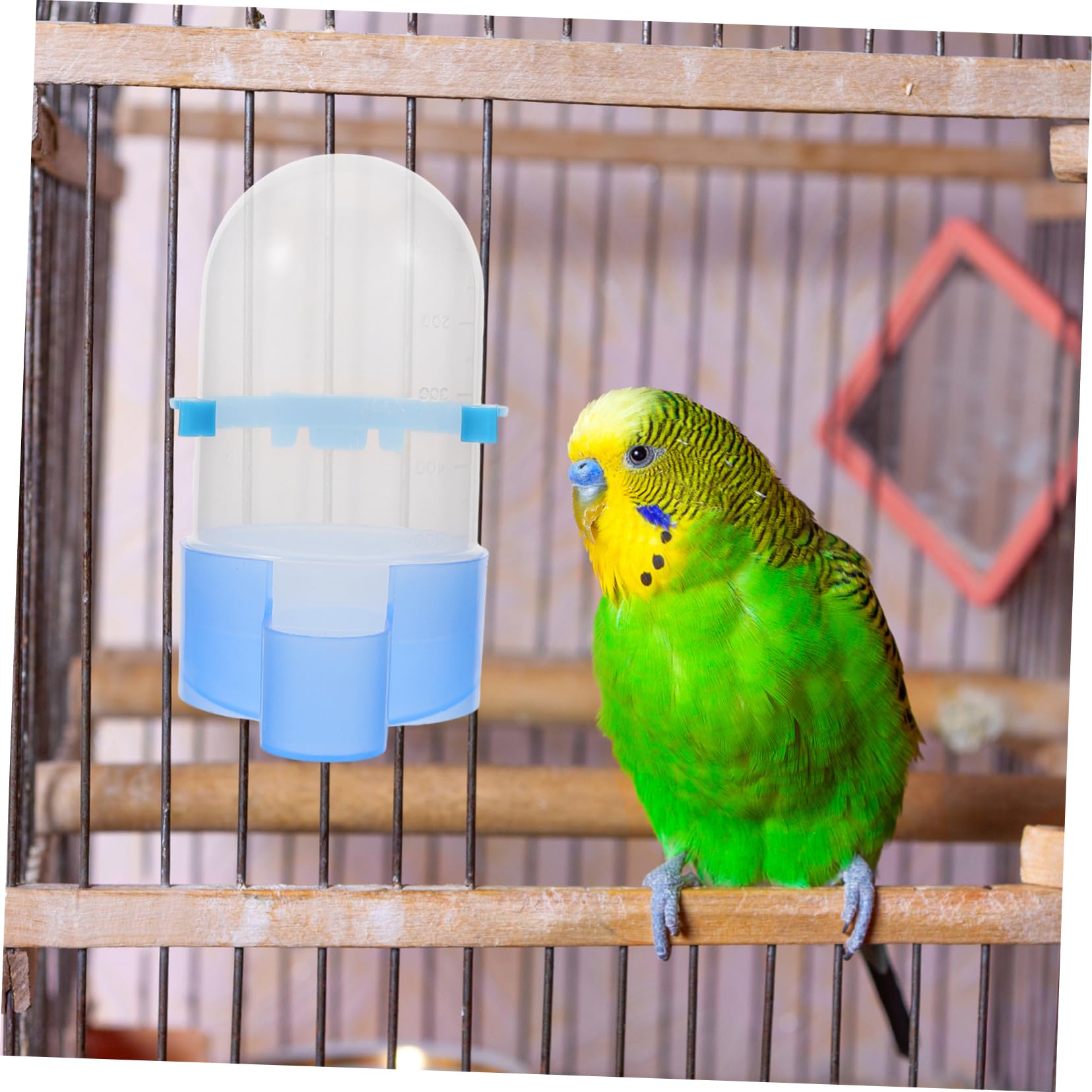 BESPORTBLE 5pièces Distributeur Eau Nourriture Automatique pour Oiseaux Abreuvoir Réutilisable pour Perroquets Et Autres Oiseaux Adapté pour Usage Intérieur Et Extérieur