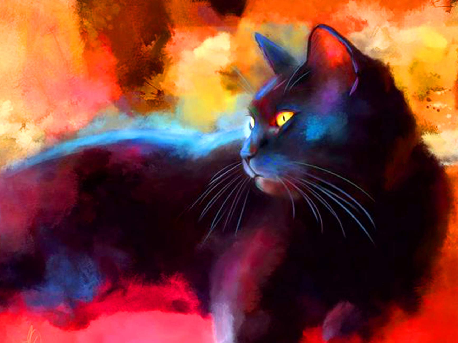 Ginfonr 5D DIY Mosaic Diamond Painting Kits Cat Colorful Full Drill, Paint with Diamonds Art Animal Color Cross Stitch Embroidery Rhinestone Craft for Home Office Wall Decor 12x16 Inch