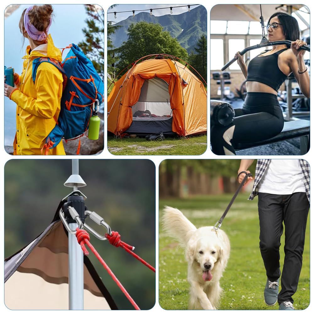 8 Pièces Maillon Rapide Mousqueton à Vis Manille INOX φ6 mm | Capacité de Charge 2000 Kg, Mousquetons en Acier Inoxydable Rapide Fixation pour Extérieur, Camping Tentes, Randonnée