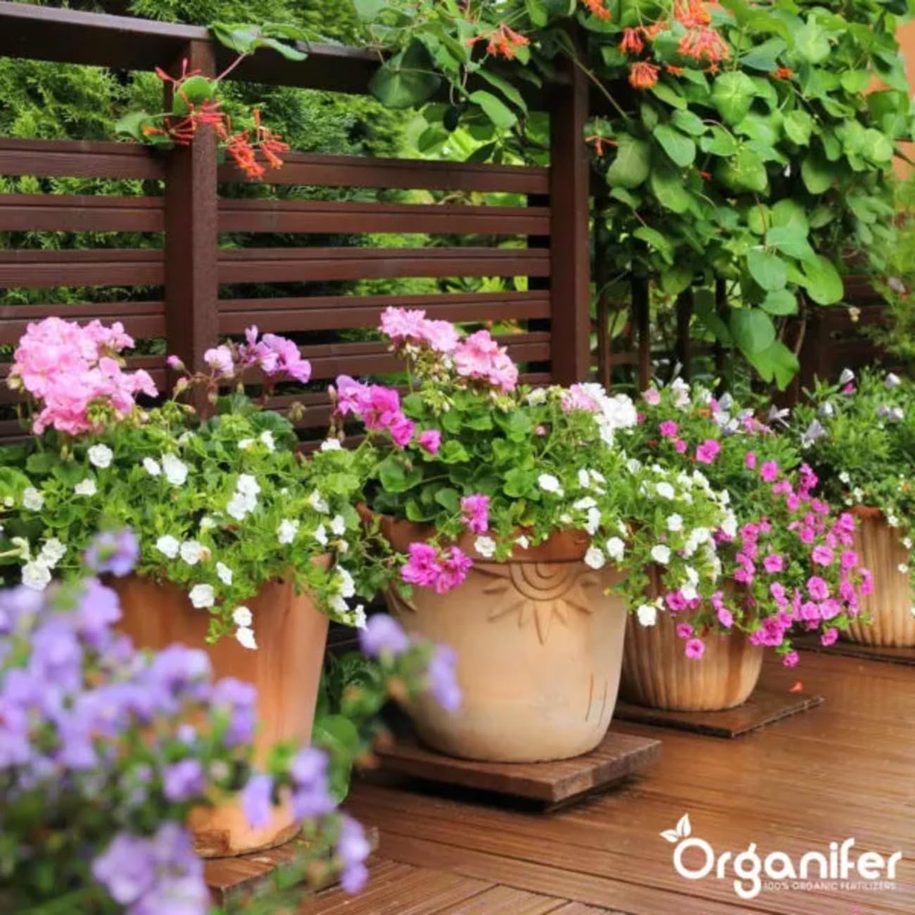 Cápsulas De Hojas - 144 Piezas - Cápsulas Fitosanitarias - Cuidado Del Jardín - Cuidado Sostenible De Las Plantas - Cápsulas No Tóxicas - Plantas En Maceta - Plantas De Balcón - Organifer