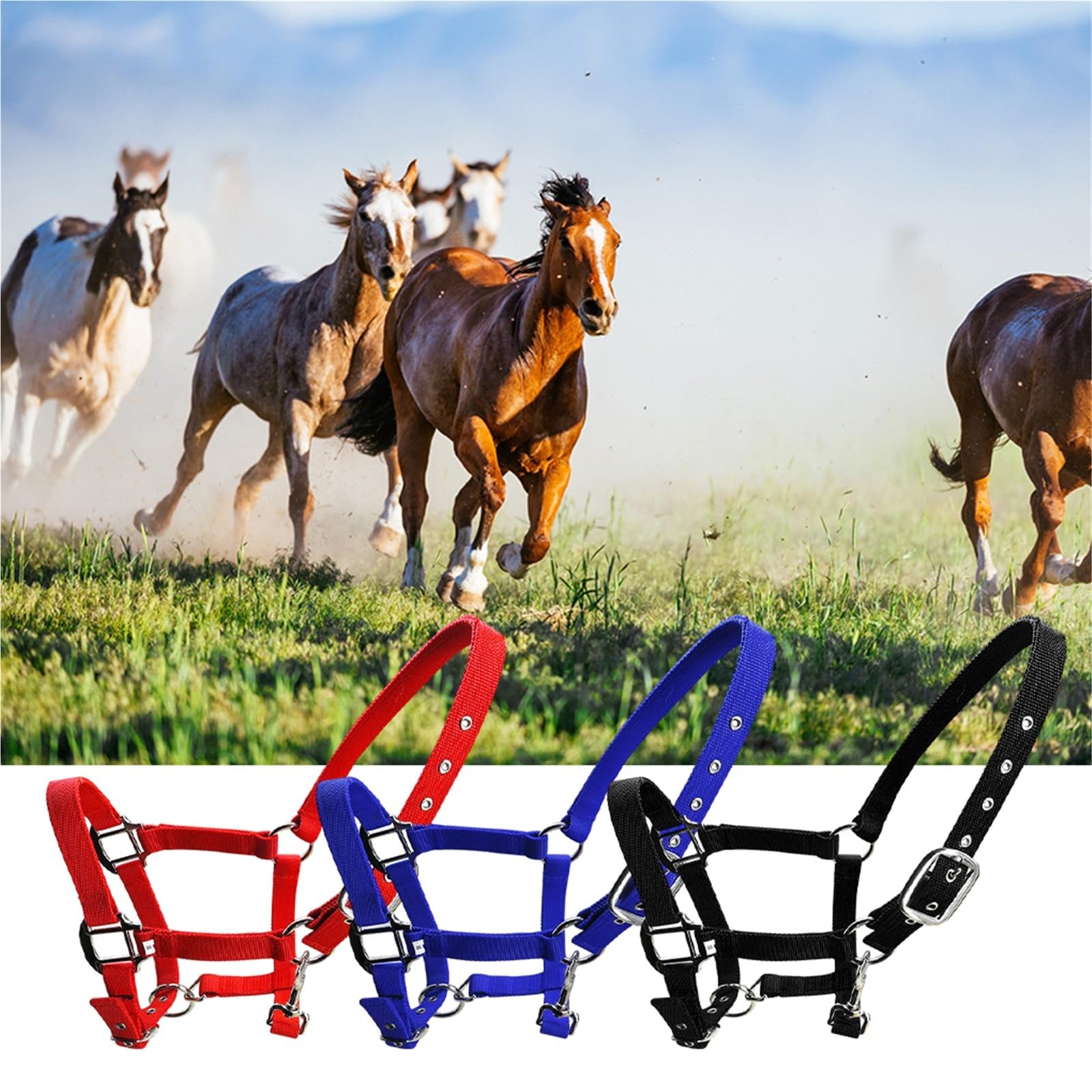 Halfter Für Pferde Gepolsterter Halfter, Pony-Kopfkragen, Schutzausrüstung, professionell, Schwarz